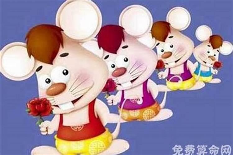 属鼠人一生的命运婚姻 属鼠人的最佳婚配生肖？