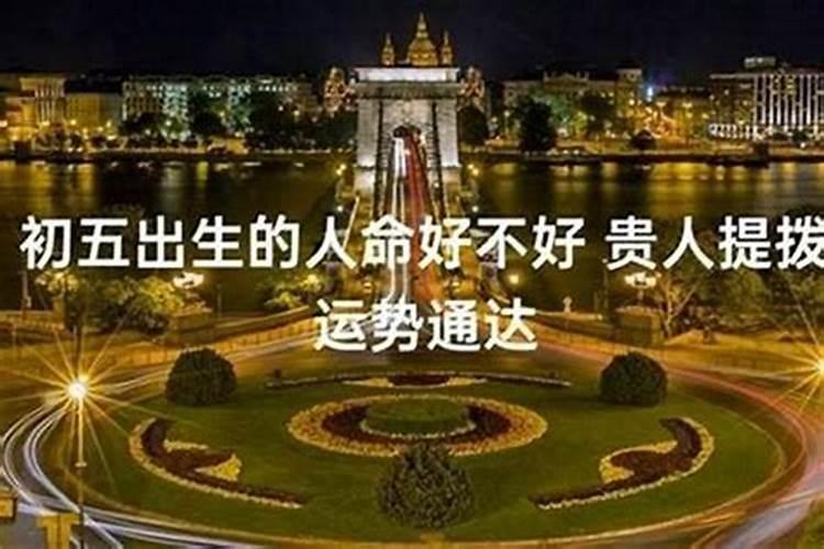 1995正月初五是什么命