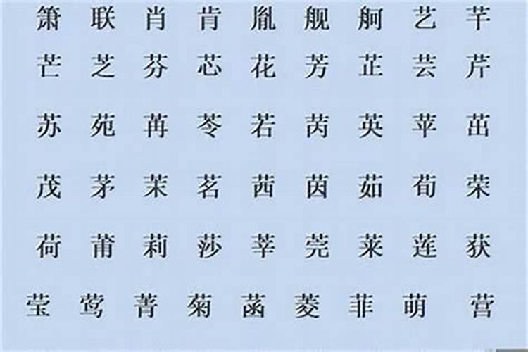 鼠的三合和六个合