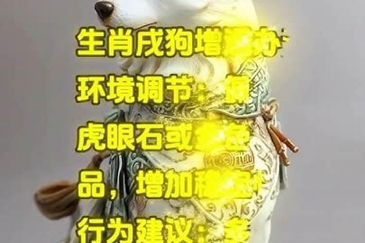 生辰八字算命准吗能信吗