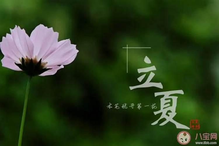 立夏运动养生常识