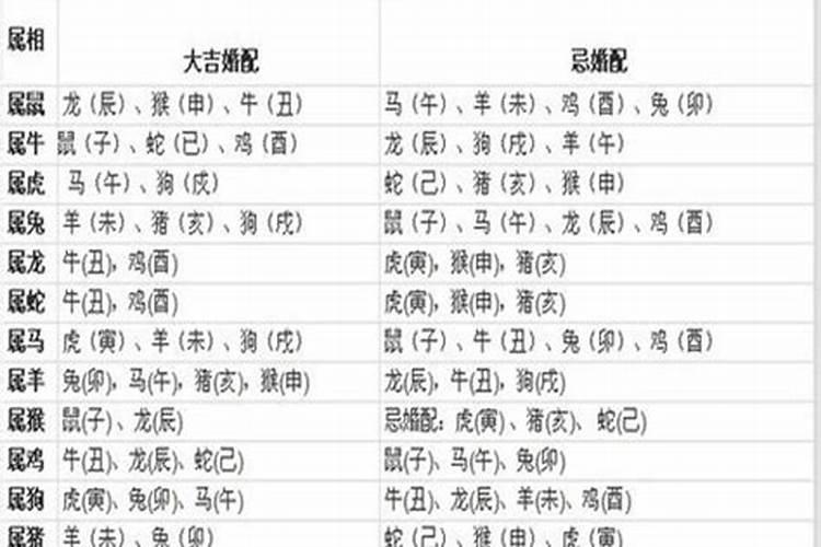 想象作文 孙悟空的奥运之旅