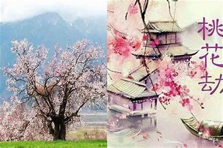 属龙人2024年几月犯桃花劫 属龙人2024年几月感情最不顺