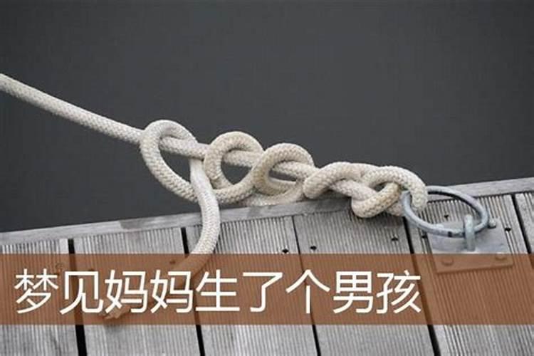 1986年冬月属虎命运 为人刚强劳碌之命？