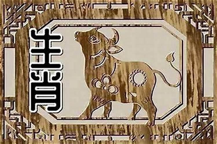 属狗和属牛夫妻婚姻如何 属狗属牛夫妻如何化解