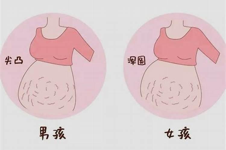 怀男孩的胎梦