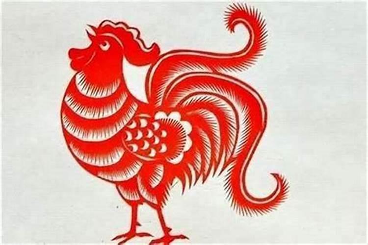 1981年属鸡人在2024年的运势详细分析