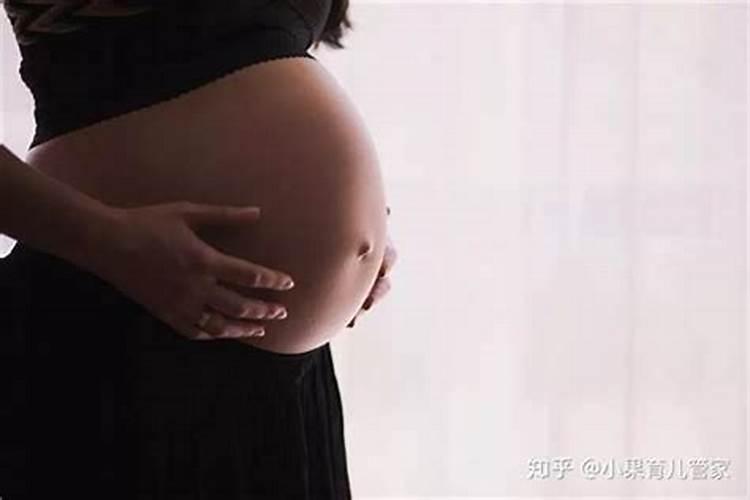 生肖兔2024年7月运势及运程