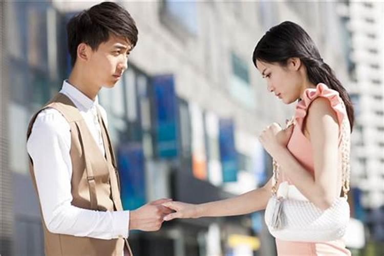 为什么不去湛江过冬