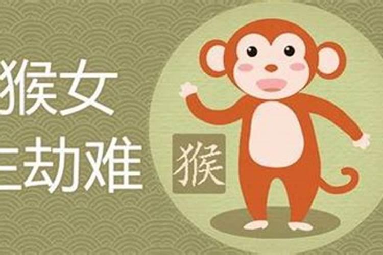 1980年猴晚年命运80年属猴人一生的命运