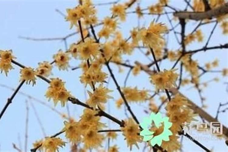 梦见死去的姥姥还活着,是什么意思？