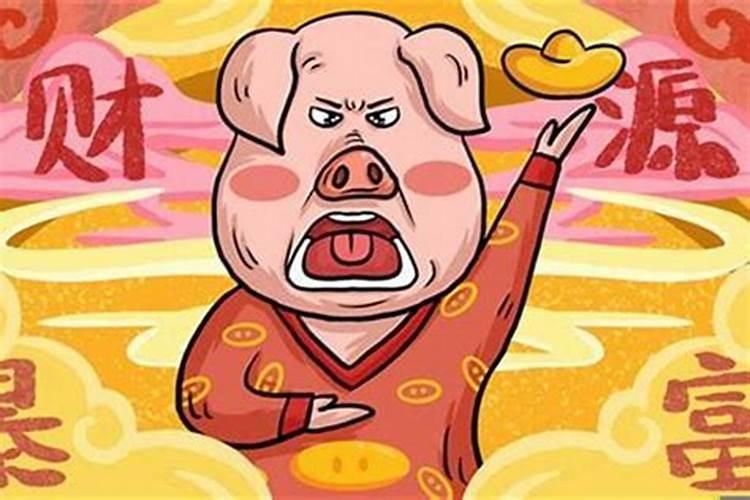 生肖猪2025年运势 属猪2025年运势及运程