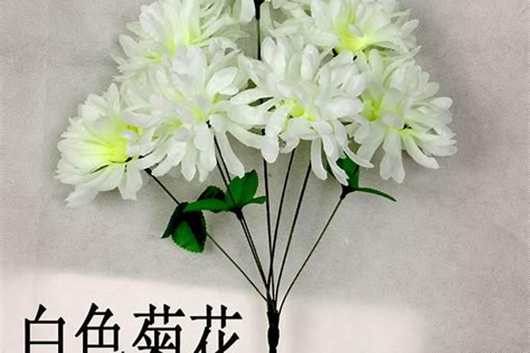 镇宅招财貔貅如何摆放