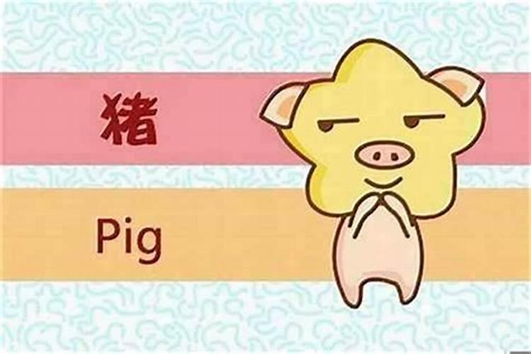 属猪的属相婚配表大全属猪人和哪些属相结婚最好？