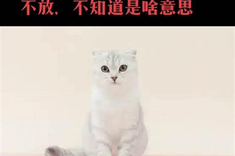 正月是农历的几月
