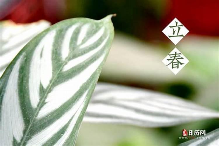 立夏节气有哪些习俗