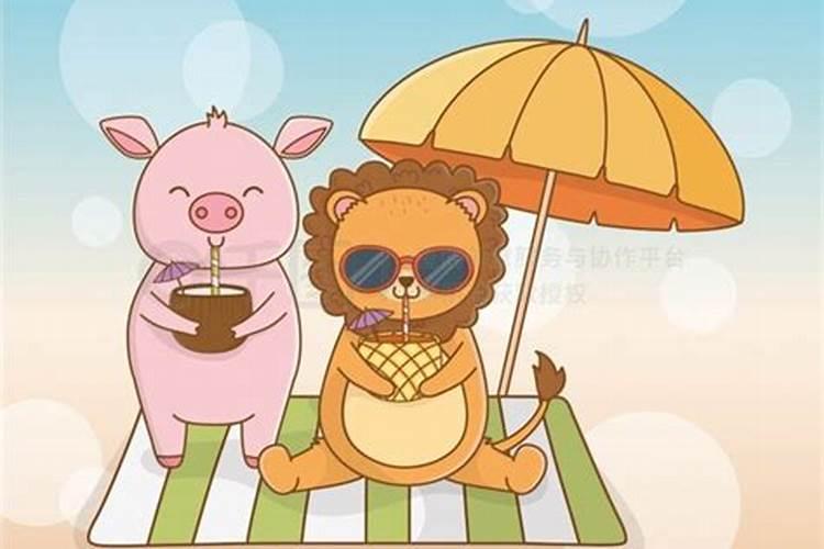 肖马的狮子座女生和肖猪的天蝎座男生