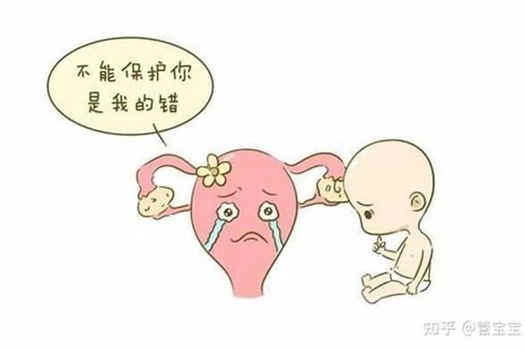 关于流产的费用