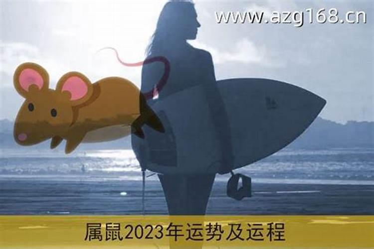 九六年生属鼠女孩命运,96年属鼠一生命运势