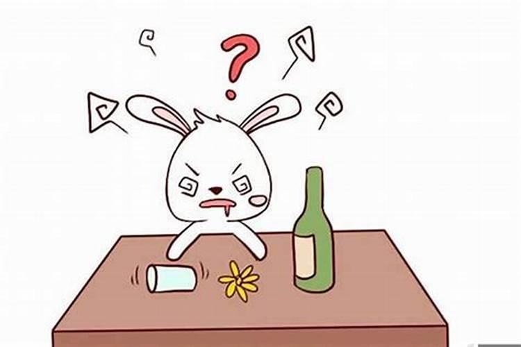 属兔的人十大改运方法