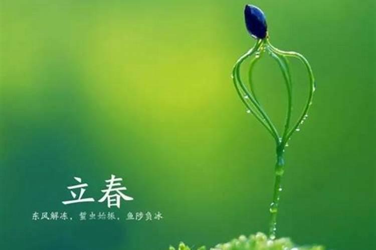 明年立春是几月几日？