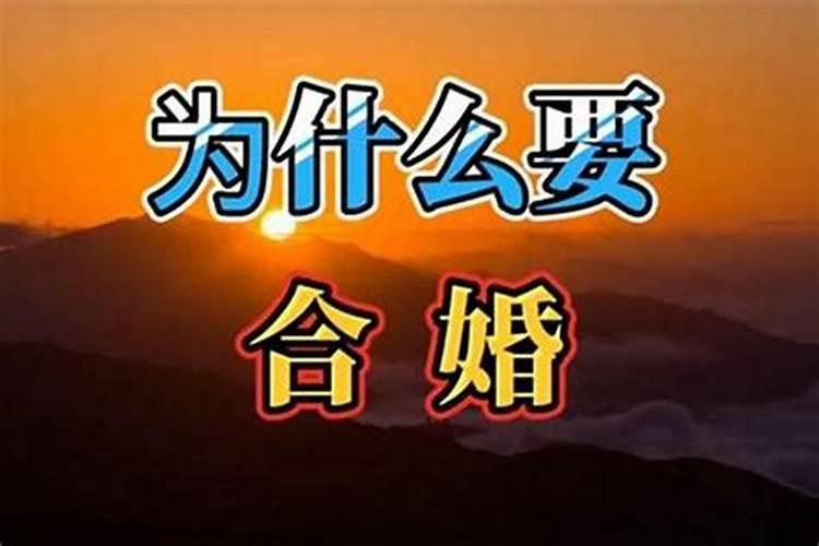 2025年五大生肖犯太岁