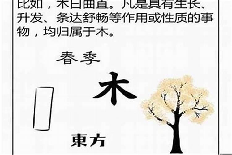 2012年阳历12月9日中午12点20分出生女孩是什么命