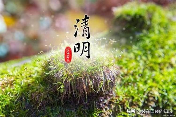 清明节上坟有什么禁忌呢？