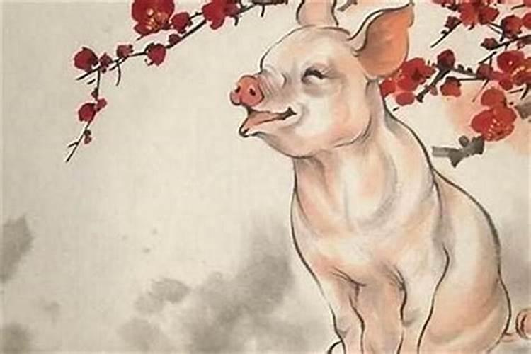 属猪2025年犯太岁怎么化解