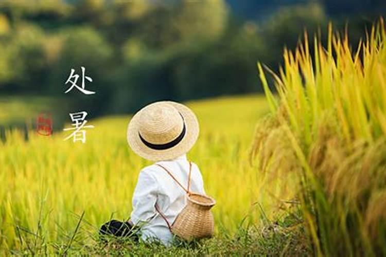 处暑与立秋有何区别？