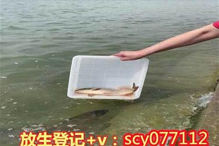 如何安葬引产胎儿