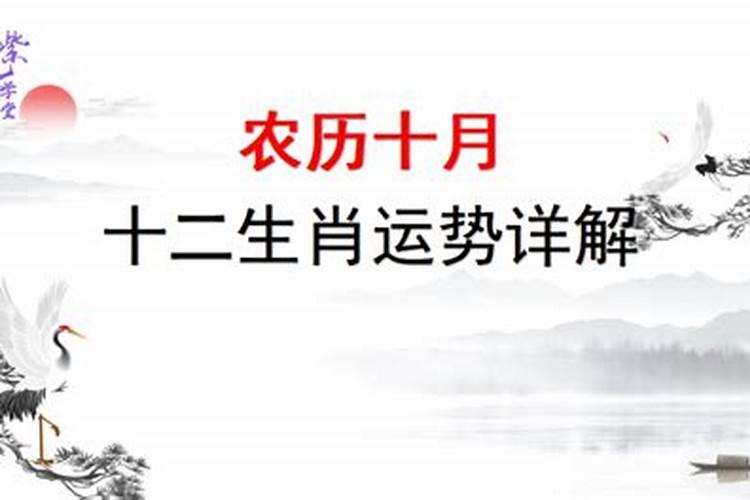 农历十月初一能不能相亲