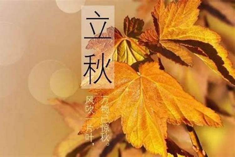 几月份算是进入秋季了呢？