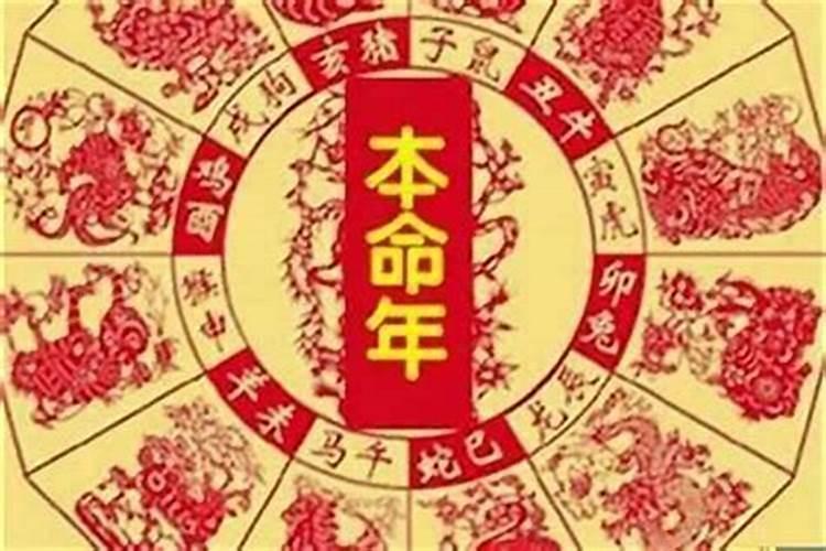 2025年蛇本命年运势