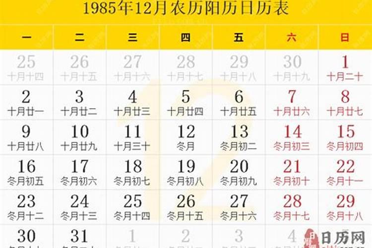 85牛2025年运势完整版