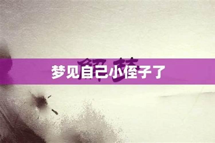梦见自己的亲侄子死了