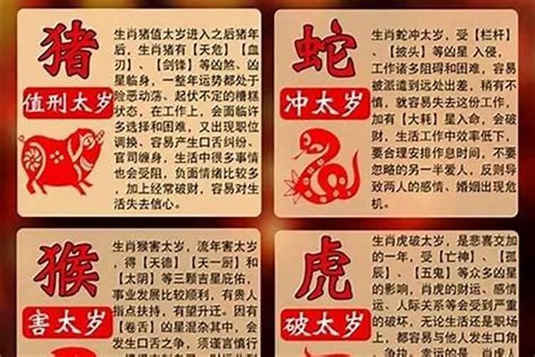 属羊的怎么破太岁