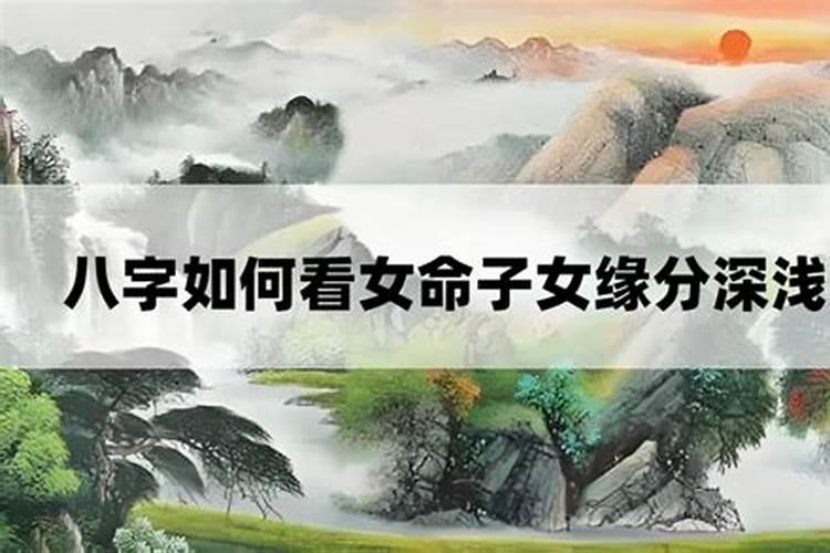 属猪的54岁会有什么变化