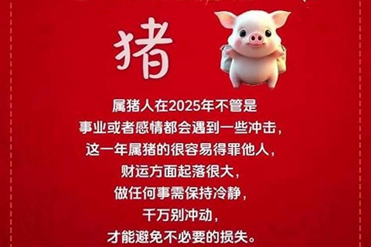 91年农历11月14日卯时出生的男的属什么？运程如何？详细点。谢谢百度...