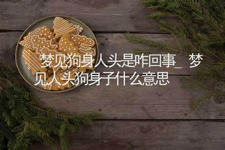 梦见半截狗