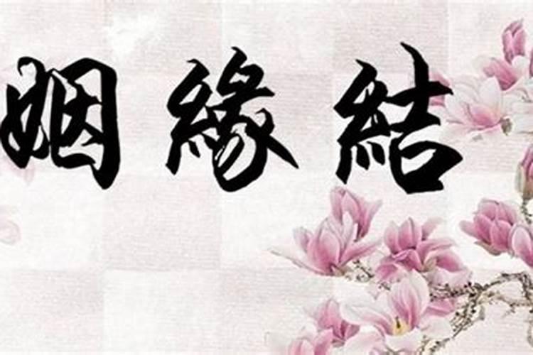 周公解梦梦到大树枯萎是什么意思