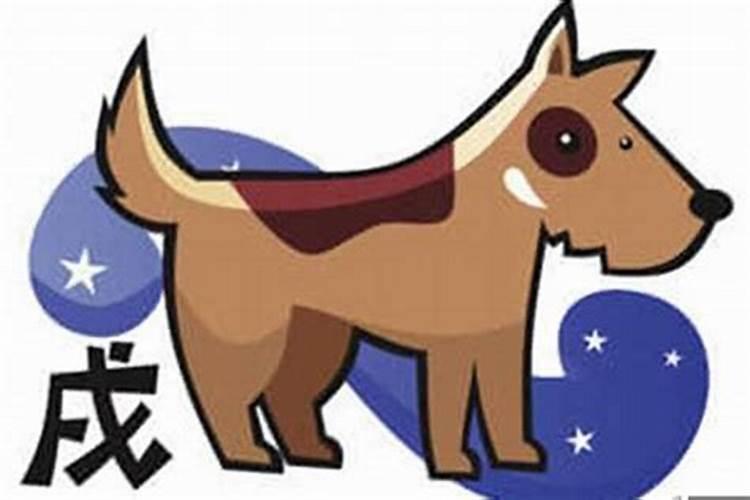 82年的狗出生人在2025年财运运气健康好不好