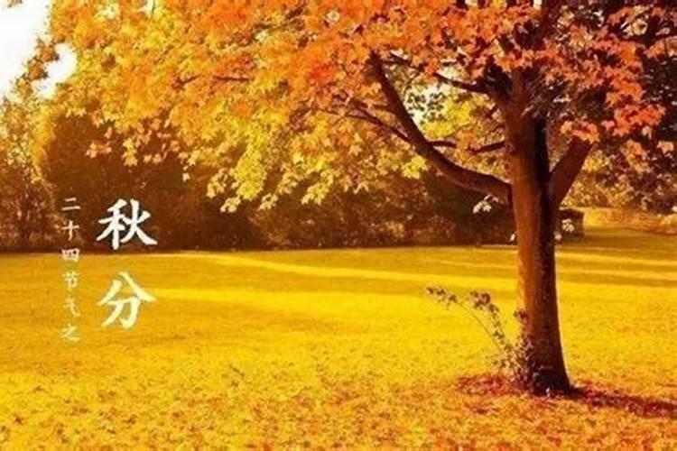 秋分节气传统习俗有哪些