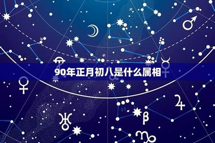 属羊和属鼠能合作吗