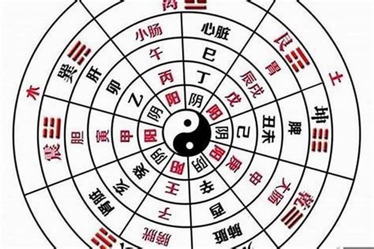 2025年农历几月蛇最好