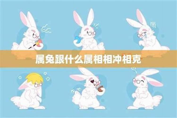 87年兔男婚配最佳属相