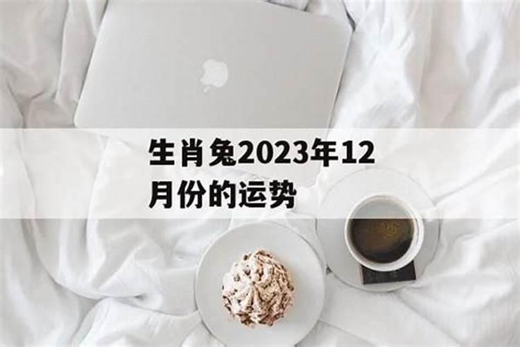属兔的十二月运势如何