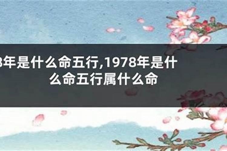 什么是命格