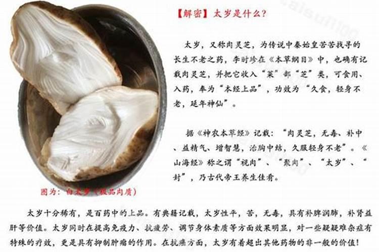 太岁是什么东西。为什么说它是一种邪物
