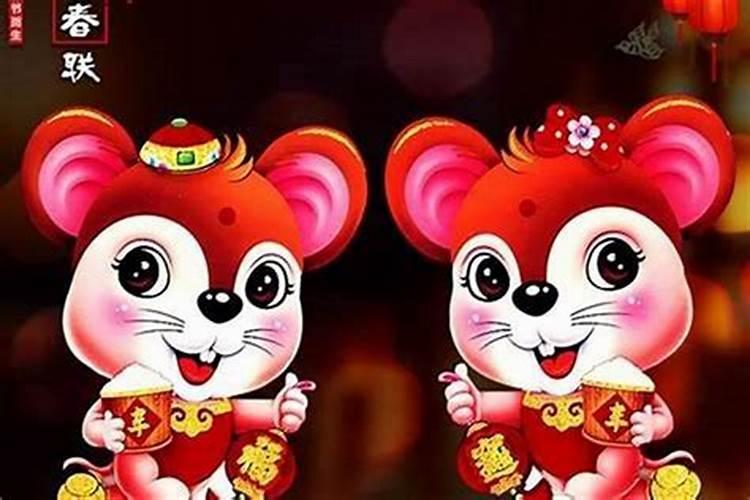 鼠和虎的属相合不合